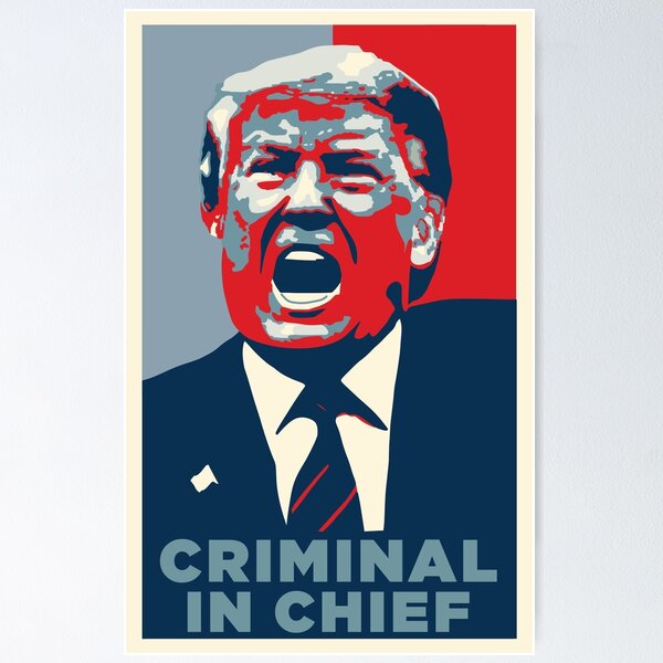 Vista previa del artículo con la obra « Donald Trump es la idea de un hombre pobre de un hombre rico», diseñado y vendido por SubtleSplit.