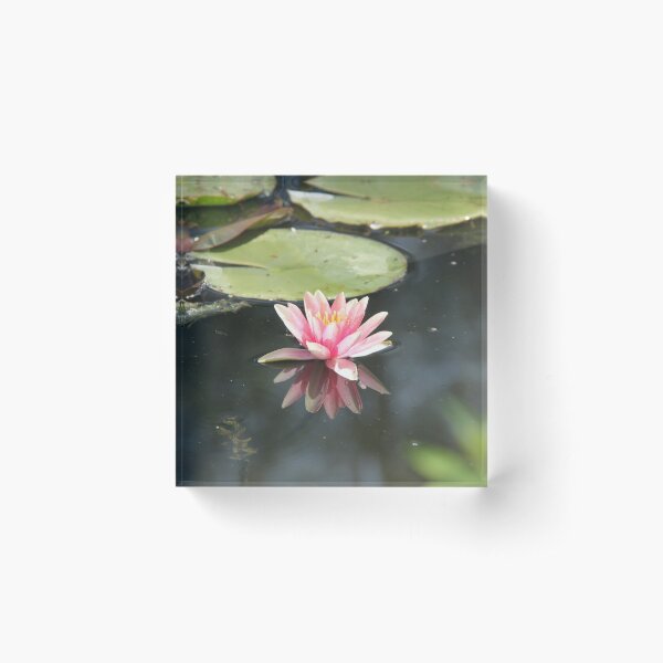 Aperçu de l'œuvre Nénuphar, Giverny, France créée et vendue par Elena Skvortsova.