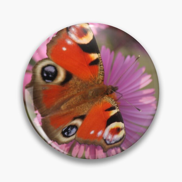 Item preview, Peacock Butterfly  designed and sold by Elena Skvortsova.