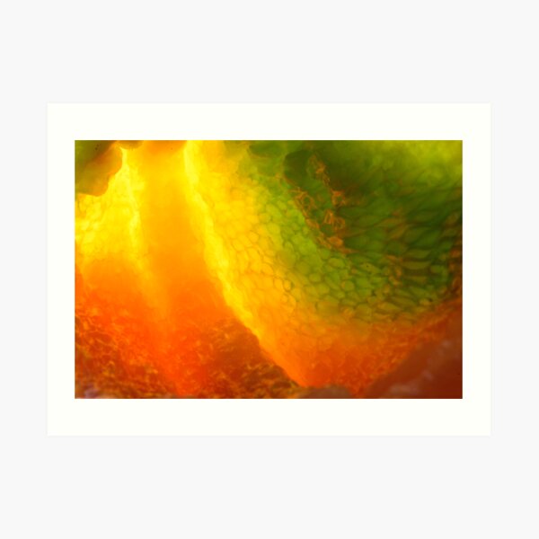 gridlock afire Art Print