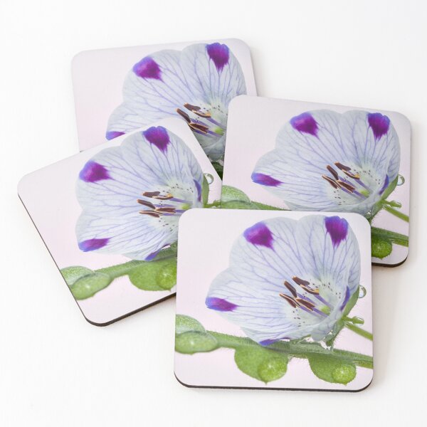 Item preview, Nemophila. designed and sold by John Ray.