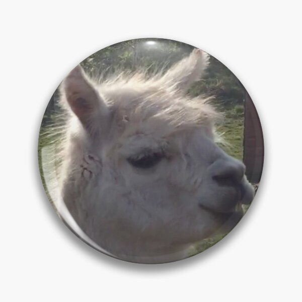 Item preview, Llama en Gales del Sur designed and sold by selfdevelopment.
