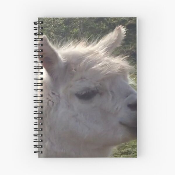 Item preview, Llama in South Wales designed and sold by selfdevelopment.