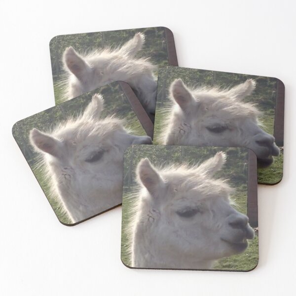 Item preview, Llama in South Wales designed and sold by selfdevelopment.