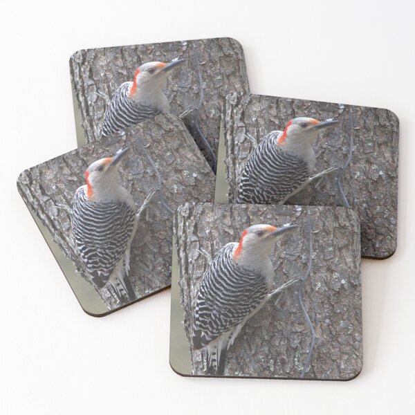 Item preview, Red Headed Woodpecker designed and sold by Mike Cicero.