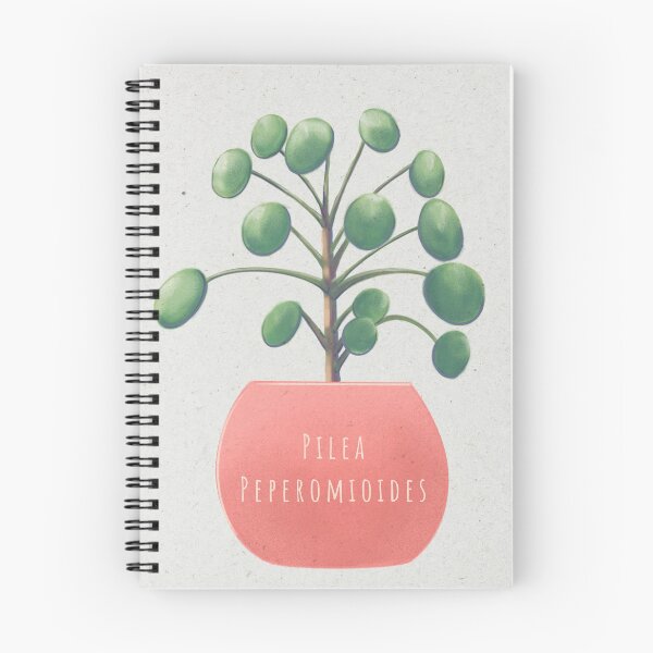 Item preview, Pilea Peperomioides aka Chinese Money Plant designed and sold by tomkaanna.