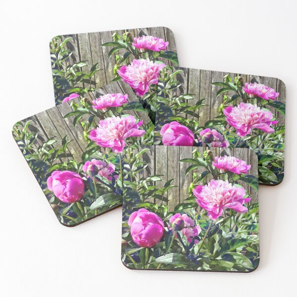 Item preview, Pink Peonies By Stockade Fence designed and sold by Susan Savad.