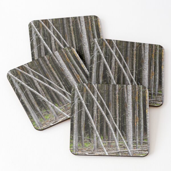 Item preview, Cypress Hills Provincial Park Alberta Canada designed and sold by Kevin Miller Photography.