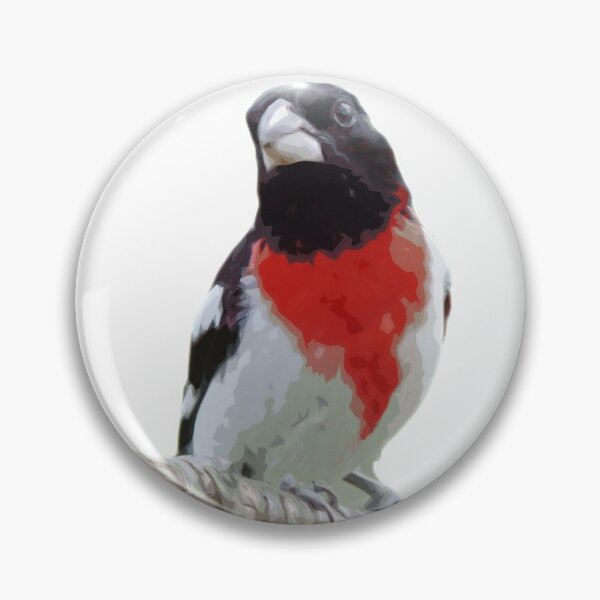 Item preview, Rose Breasted Grosbeak designed and sold by Skippy-Froggy.