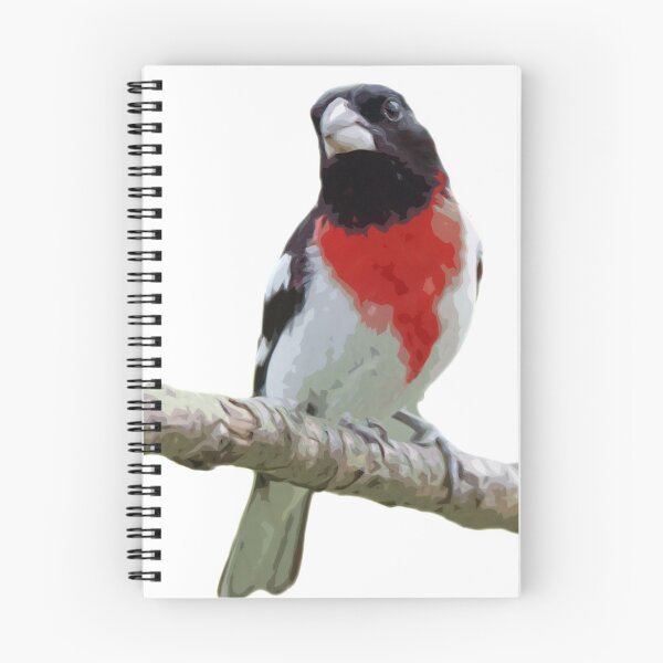 Item preview, Rose Breasted Grosbeak designed and sold by Skippy-Froggy.