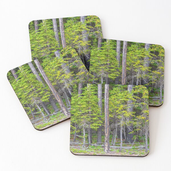Item preview, Cypress Hills Provincial Park Alberta Canada designed and sold by Kevin Miller Photography.