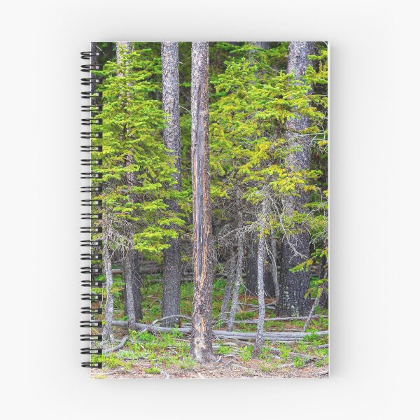 Item preview, Cypress Hills Provincial Park Alberta Canada designed and sold by Kevin Miller Photography.