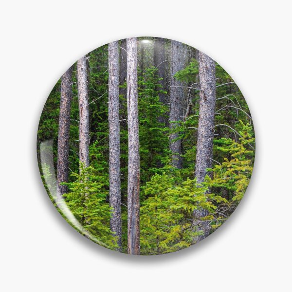 Item preview, Cypress Hills Provincial Park Alberta Canada designed and sold by Kevin Miller Photography.