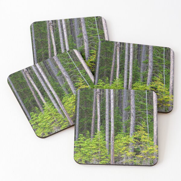 Item preview, Cypress Hills Provincial Park Alberta Canada designed and sold by Kevin Miller Photography.