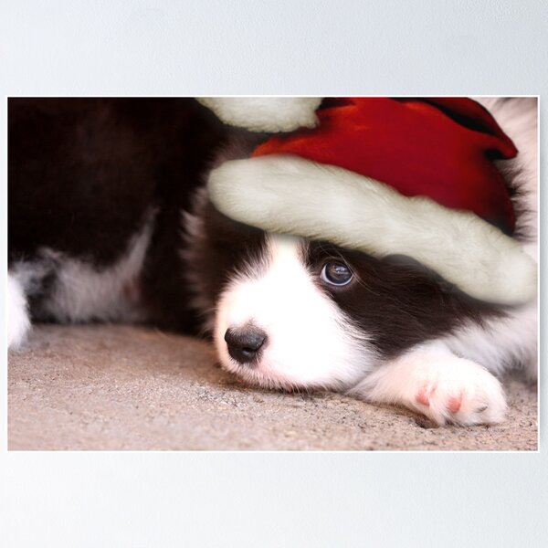 Item preview, Merry Christmas designed and sold by Globalphotos.