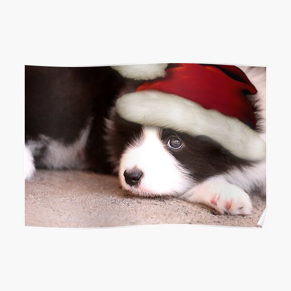 Merry Christmas Poster