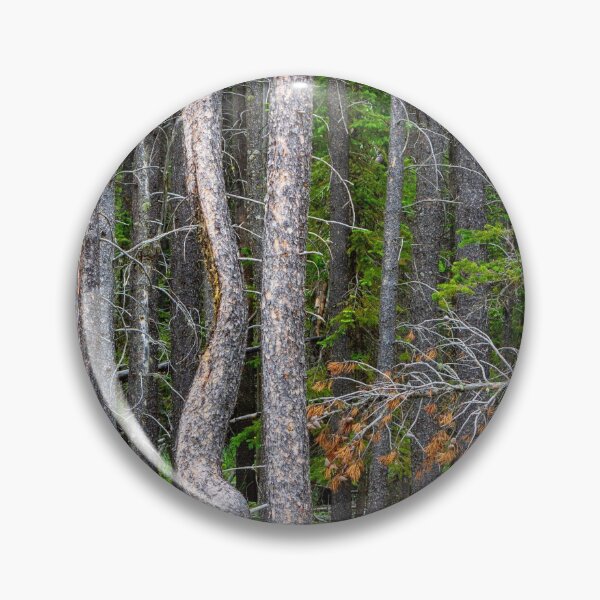 Item preview, Cypress Hills Provincial Park Alberta Canada designed and sold by Kevin Miller Photography.