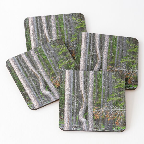 Item preview, Cypress Hills Provincial Park Alberta Canada designed and sold by Kevin Miller Photography.