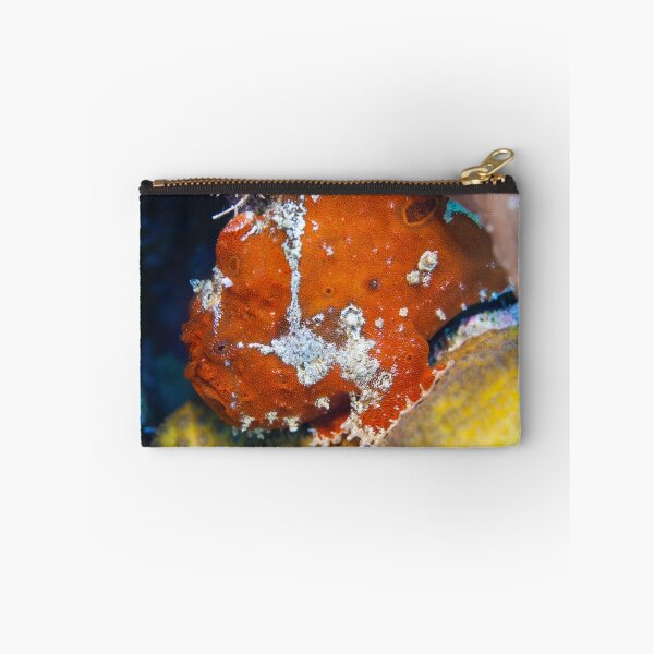 Item preview, Colorful Frogfish Friend designed and sold by Caitlin Chock.