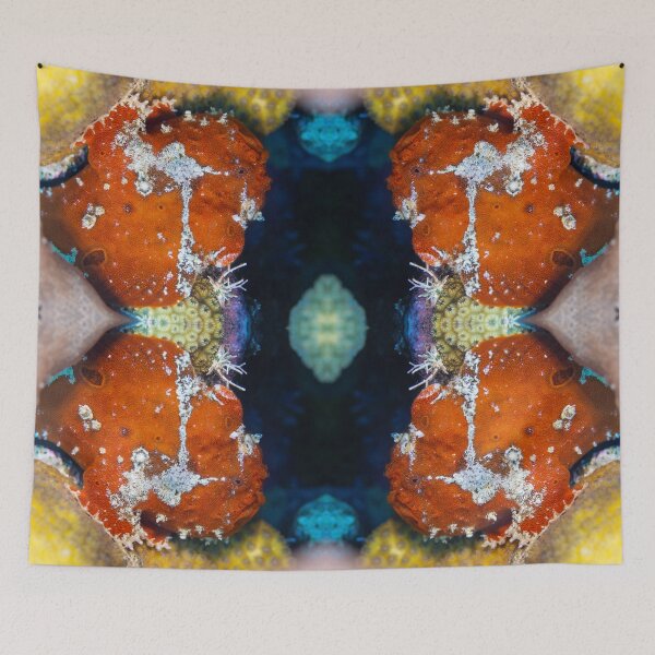 Item preview, Colorful Frogfish Friend designed and sold by Caitlin Chock.