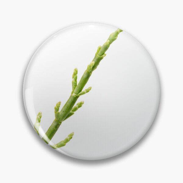 Item preview, Sea Beans designed and sold by legacyholistic.