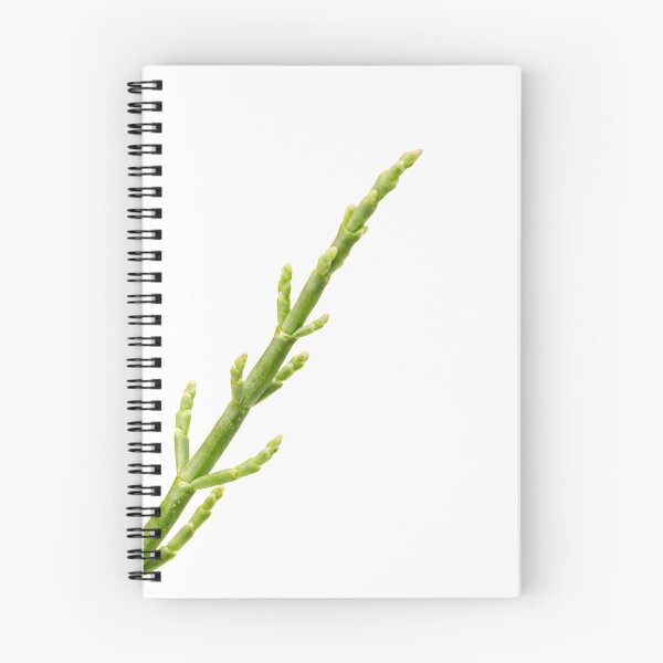 Item preview, Sea Beans designed and sold by legacyholistic.
