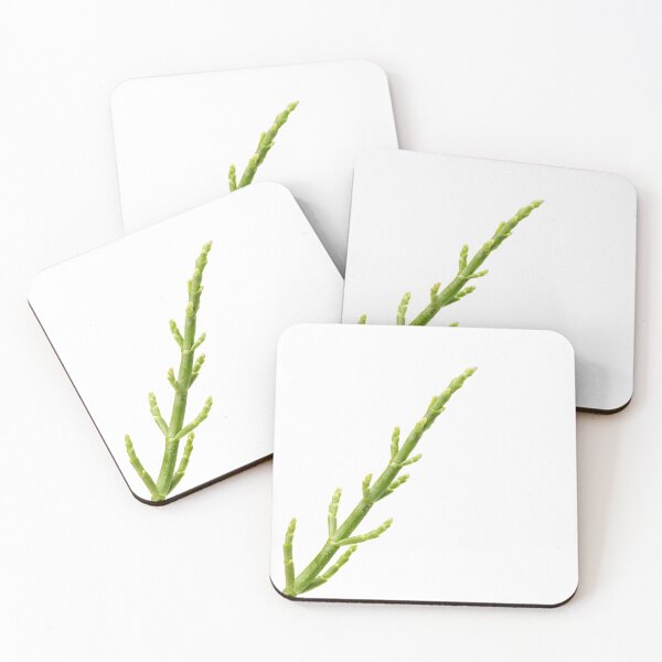 Item preview, Sea Beans designed and sold by legacyholistic.