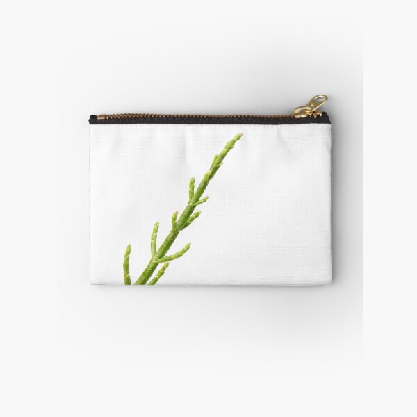 Item preview, Sea Beans designed and sold by legacyholistic.