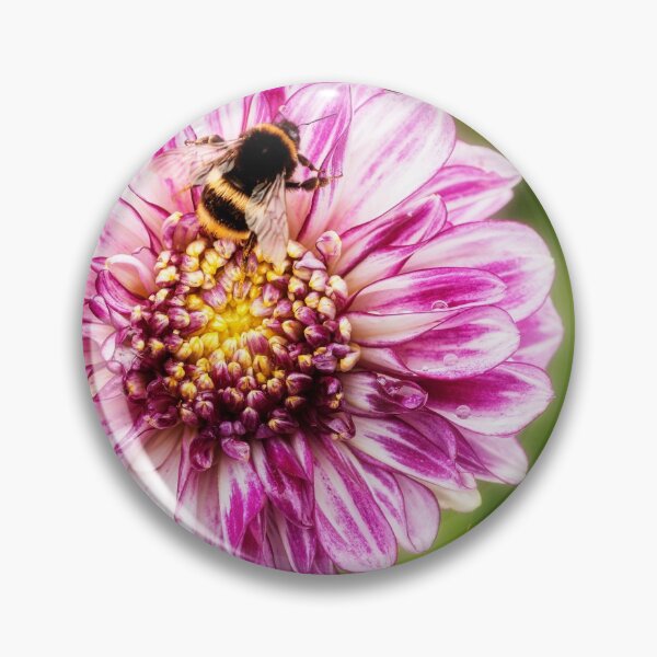 Item preview,  Dahlia Brindisi designed and sold by John Ray.