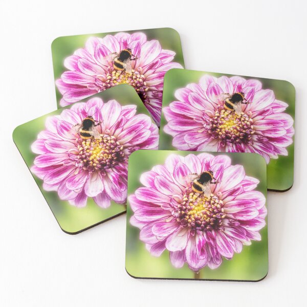 Item preview,  Dahlia Brindisi designed and sold by John Ray.