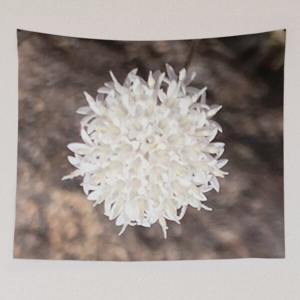 Item preview, Mojave Pincushion designed and sold by GraceSage.