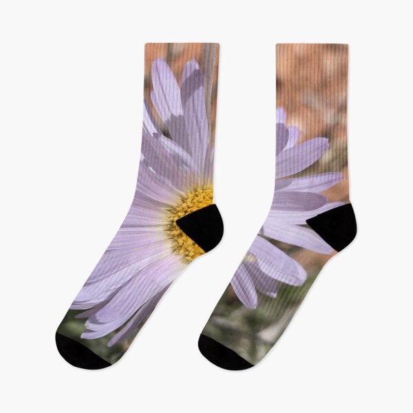 Item preview, Desert Aster designed and sold by GraceSage.