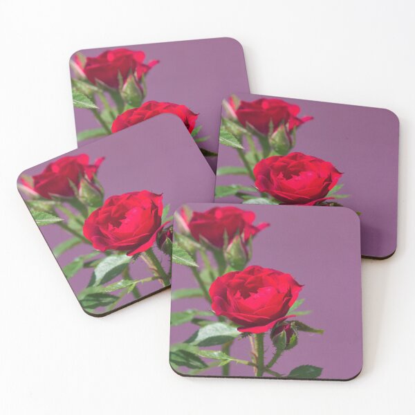 Aperçu de l'œuvre Deux roses sur la rosla sur fond violet créée et vendue par lauprizan.