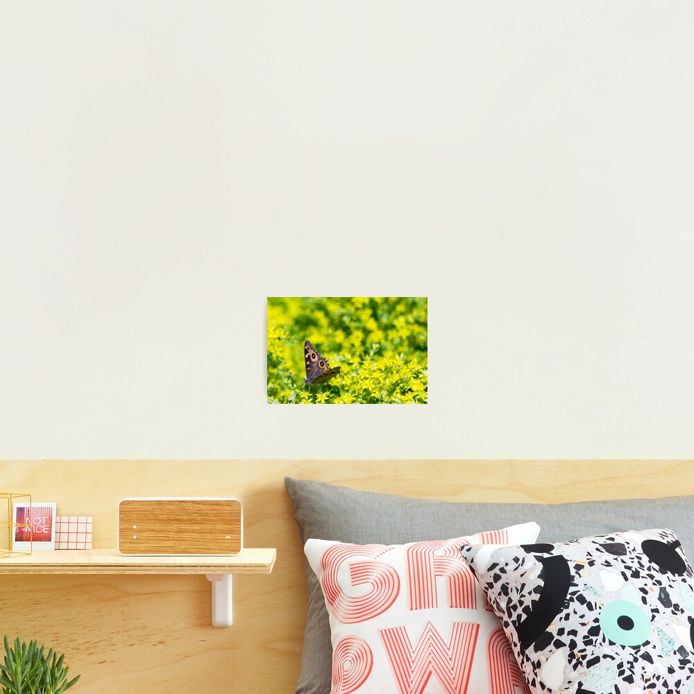 Item preview, Photographic Print designed and sold by slacktech.