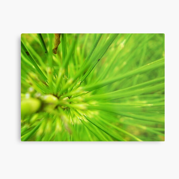 Abstact brilliant green plant 2 Metal Print