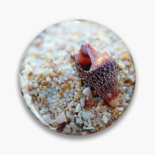 Item preview, Shell and Sand designed and sold by IcelasArt.
