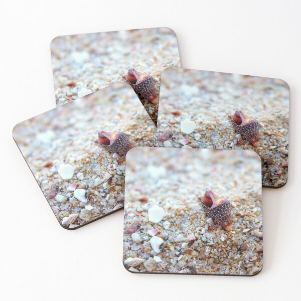 Item preview, Shell and Sand designed and sold by IcelasArt.