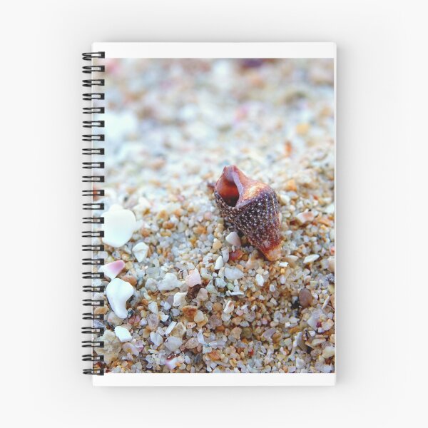 Item preview, Shell and Sand designed and sold by IcelasArt.