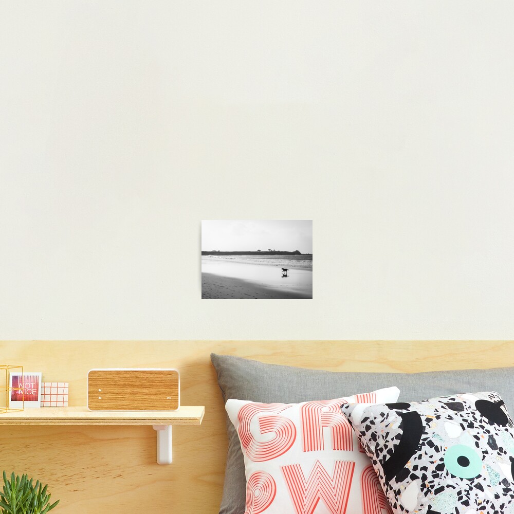 Item preview, Photographic Print designed and sold by littleoldhag.