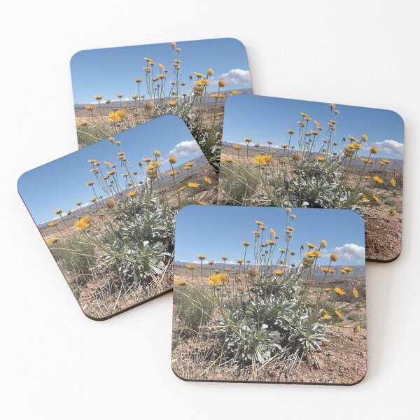 Item preview, Silverleaf Sunray designed and sold by GraceSage.