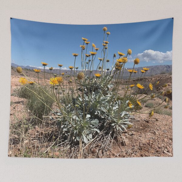 Item preview, Silverleaf Sunray designed and sold by GraceSage.