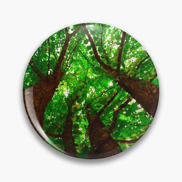 Item preview, Under the Canopy of the Trees designed and sold by LCAppling.