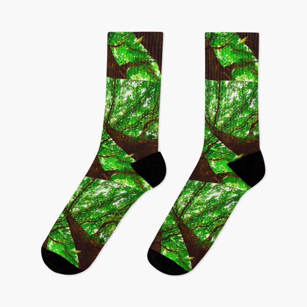 Item preview, Under the Canopy of the Trees designed and sold by LCAppling.