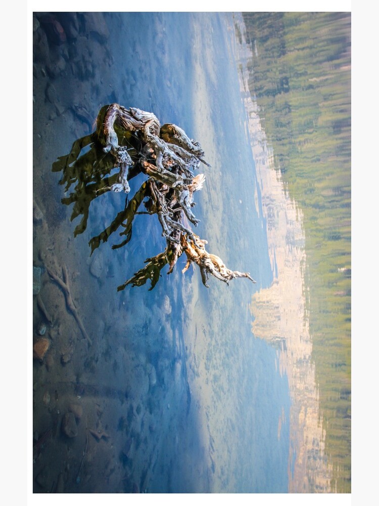 Thumbnail 4 of 4, Samsung Galaxy Phone Case, Mammoth Reflections designed and sold by littleoldhag.