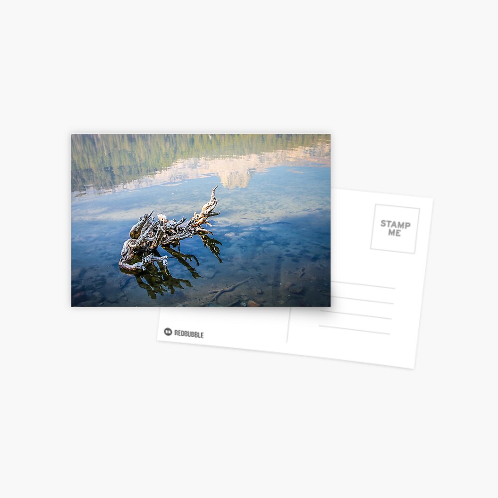 Item preview, Postcard designed and sold by littleoldhag.