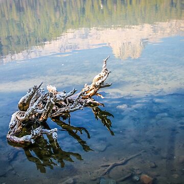 Artwork thumbnail, Mammoth Reflections by littleoldhag
