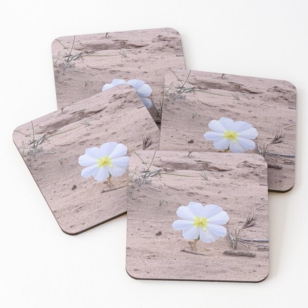 Item preview, California Evening Primrose designed and sold by GraceSage.