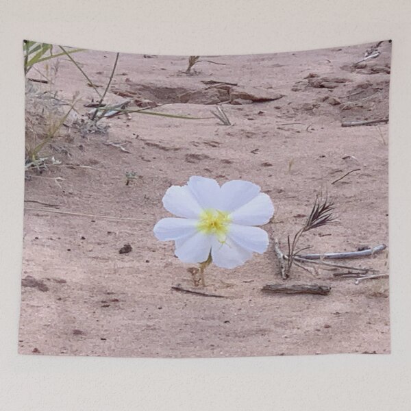 Item preview, California Evening Primrose designed and sold by GraceSage.
