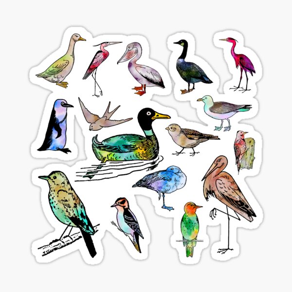 Item preview, Cute Colorful Birds Design designed and sold by bestoffers.