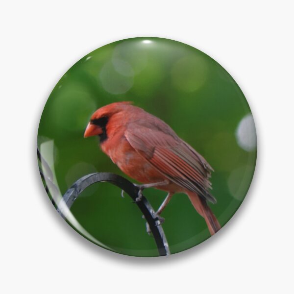 Item preview, Northern Cardinal male designed and sold by rodmacpherson.